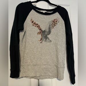 American Eagle Outfitters Sweater with Eagle Graphic